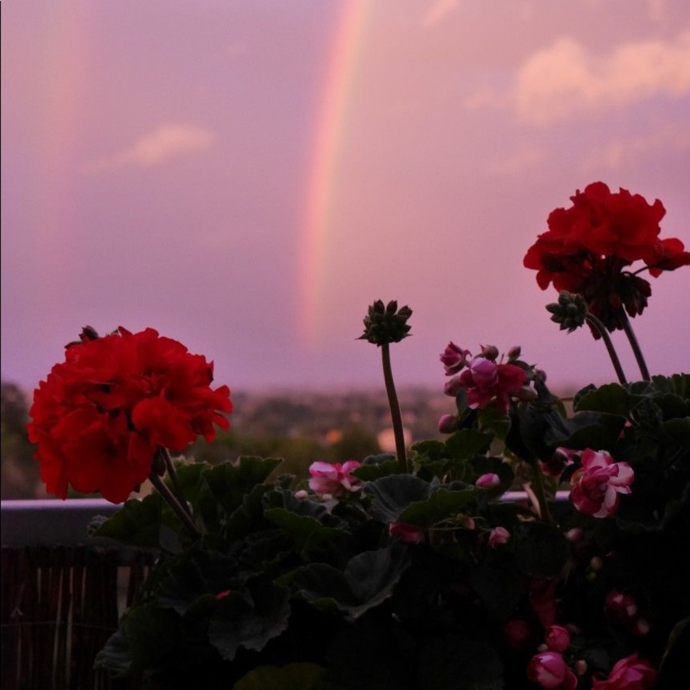 Meet your Posher, Stephen